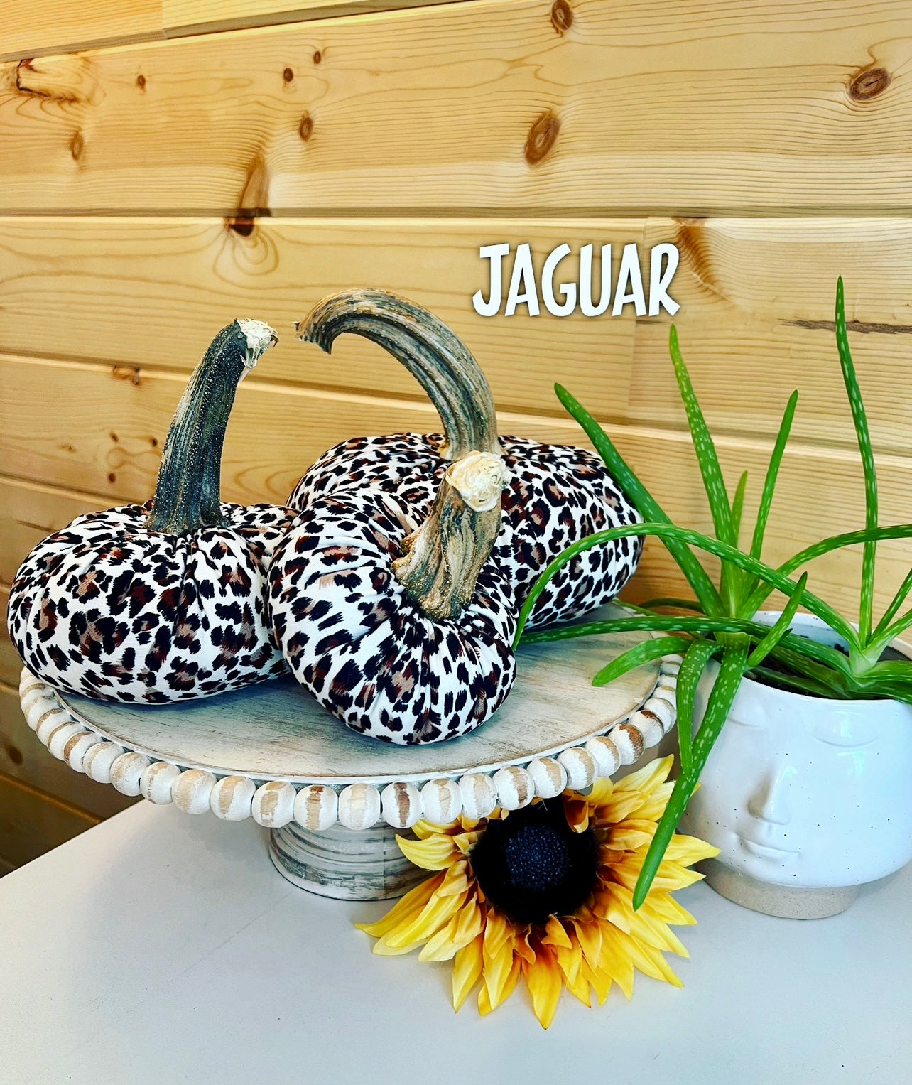 PUMPKIN SET of 3 ANIMAL PRINT - JAGUAR
