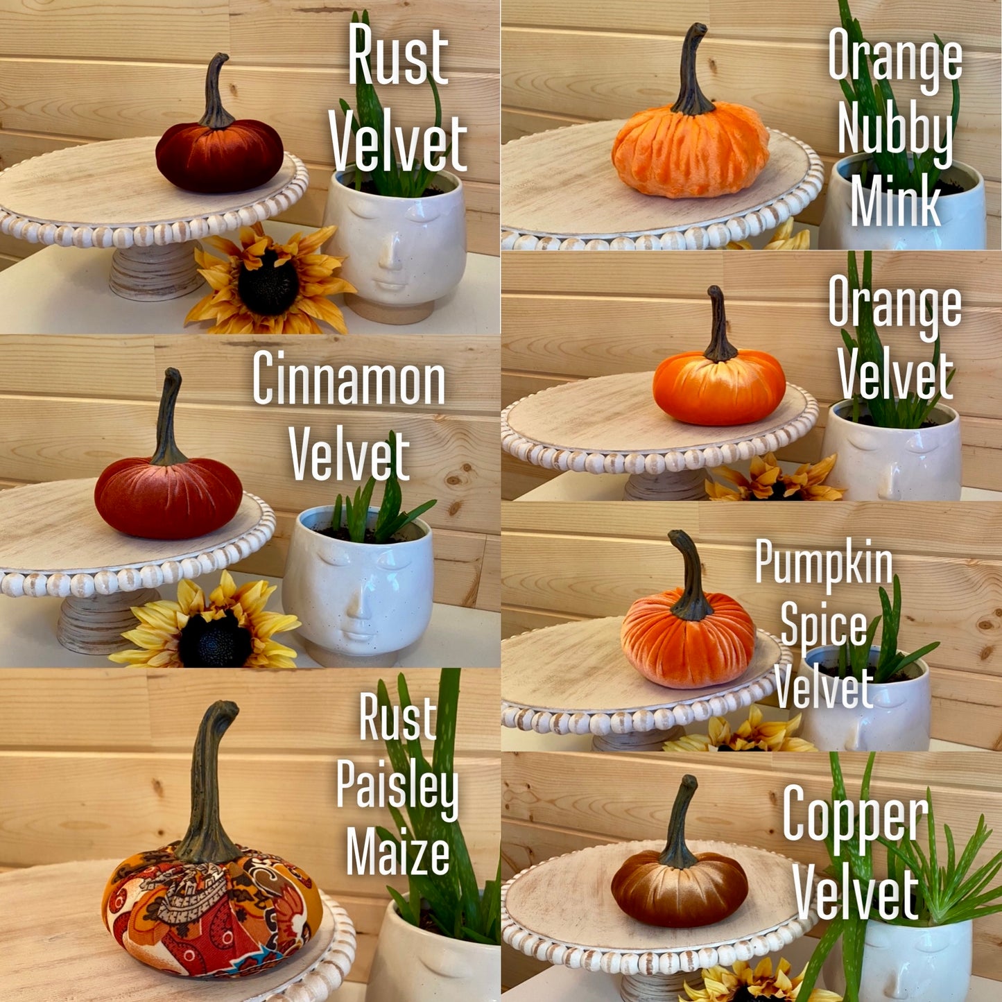 SMALL PUMPKIN VELVET - CINNAMON SUGAR
