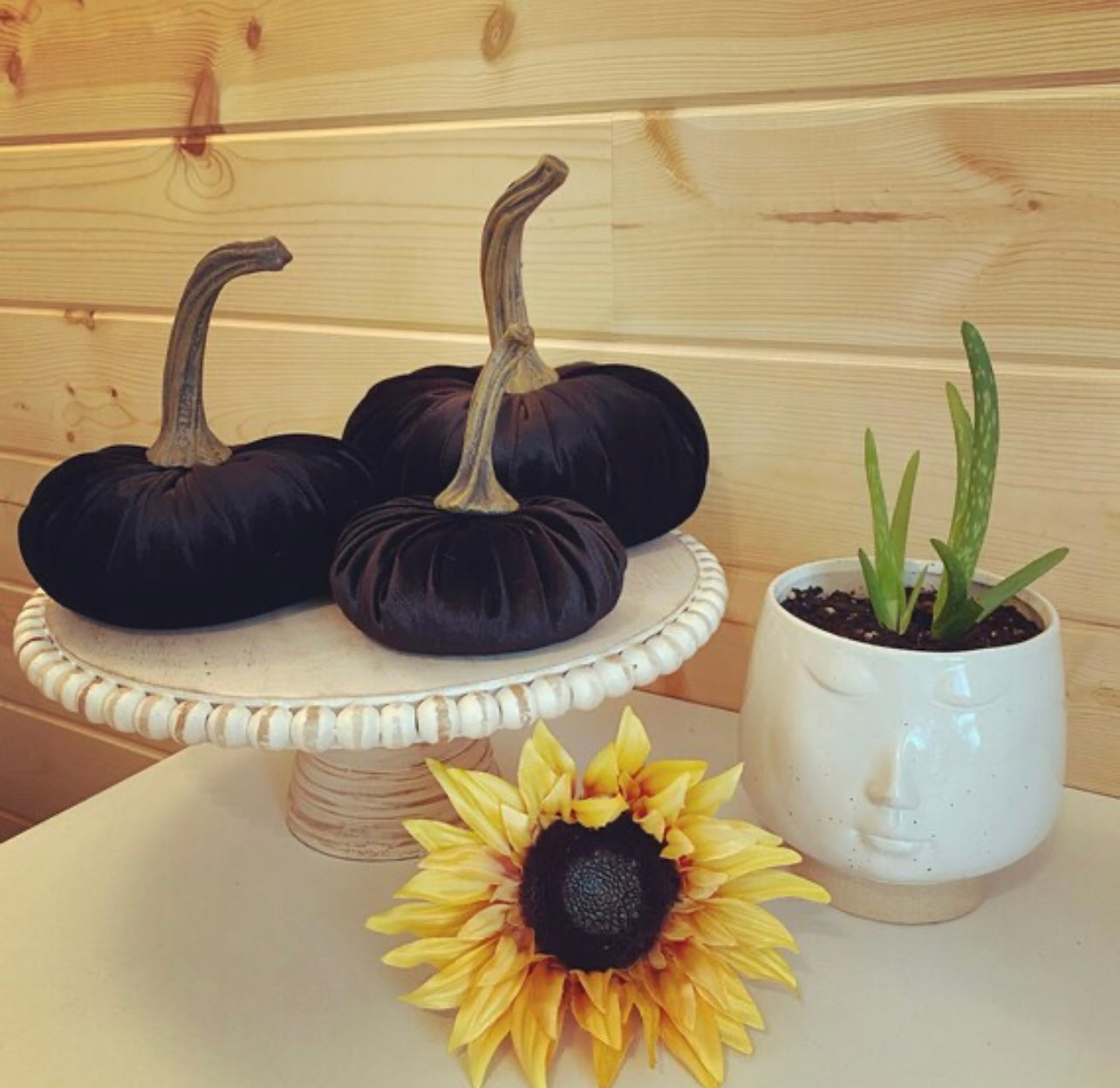 SMALL PUMPKIN VELVET - BLACK