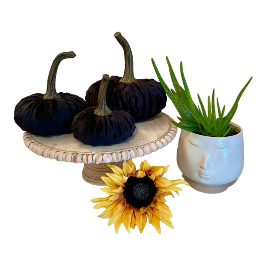 PUMPKIN SET of 3 NUBBY MINK VELVET - BLACK