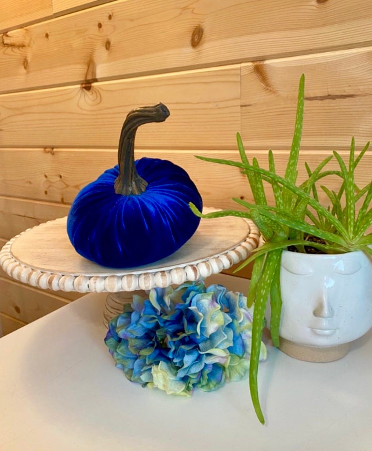 LARGE VELVET PUMPKIN - ROYAL BLUE