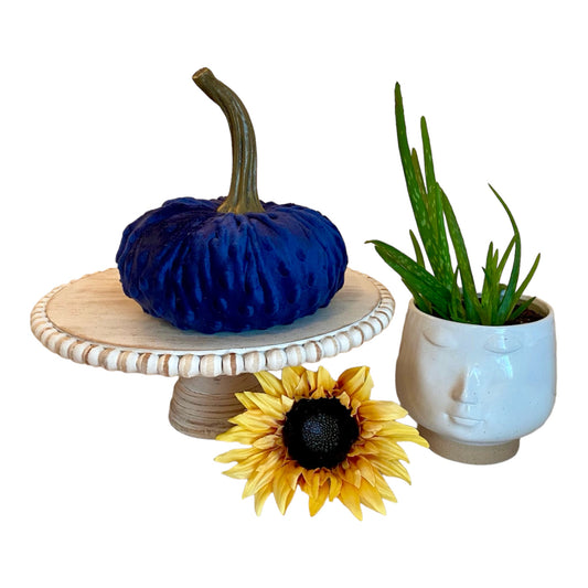 EXTRA LARGE NUBBY MINK VELVET PUMPKIN - NAVY