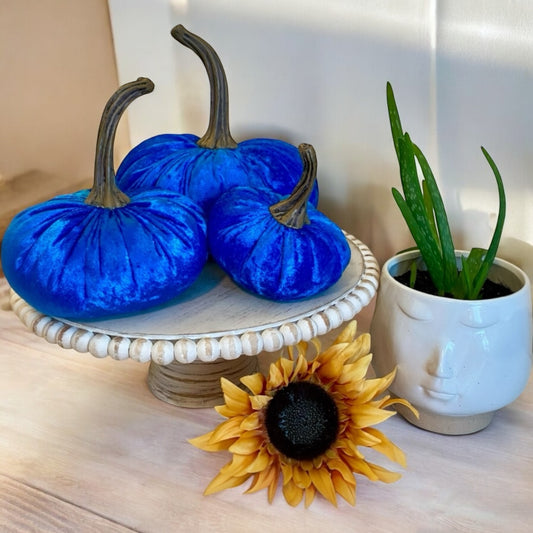 VELVER PUMPKIN SET OF 3 - BLUE CRUSH