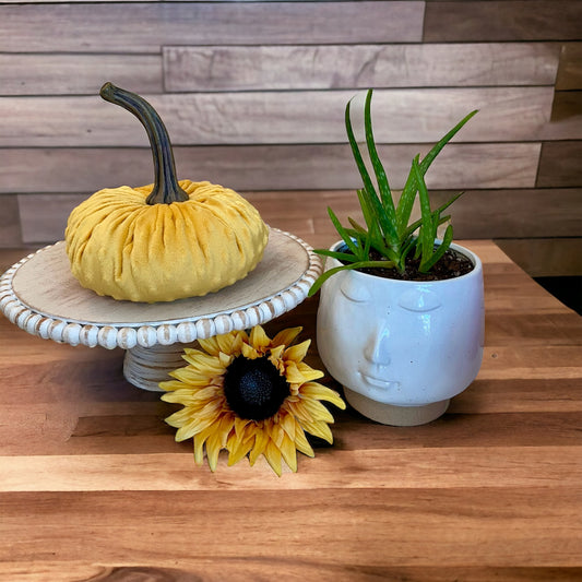 EXTRA LARGE NUBBY MINK VELVET PUMPKIN - SUNFLOWER