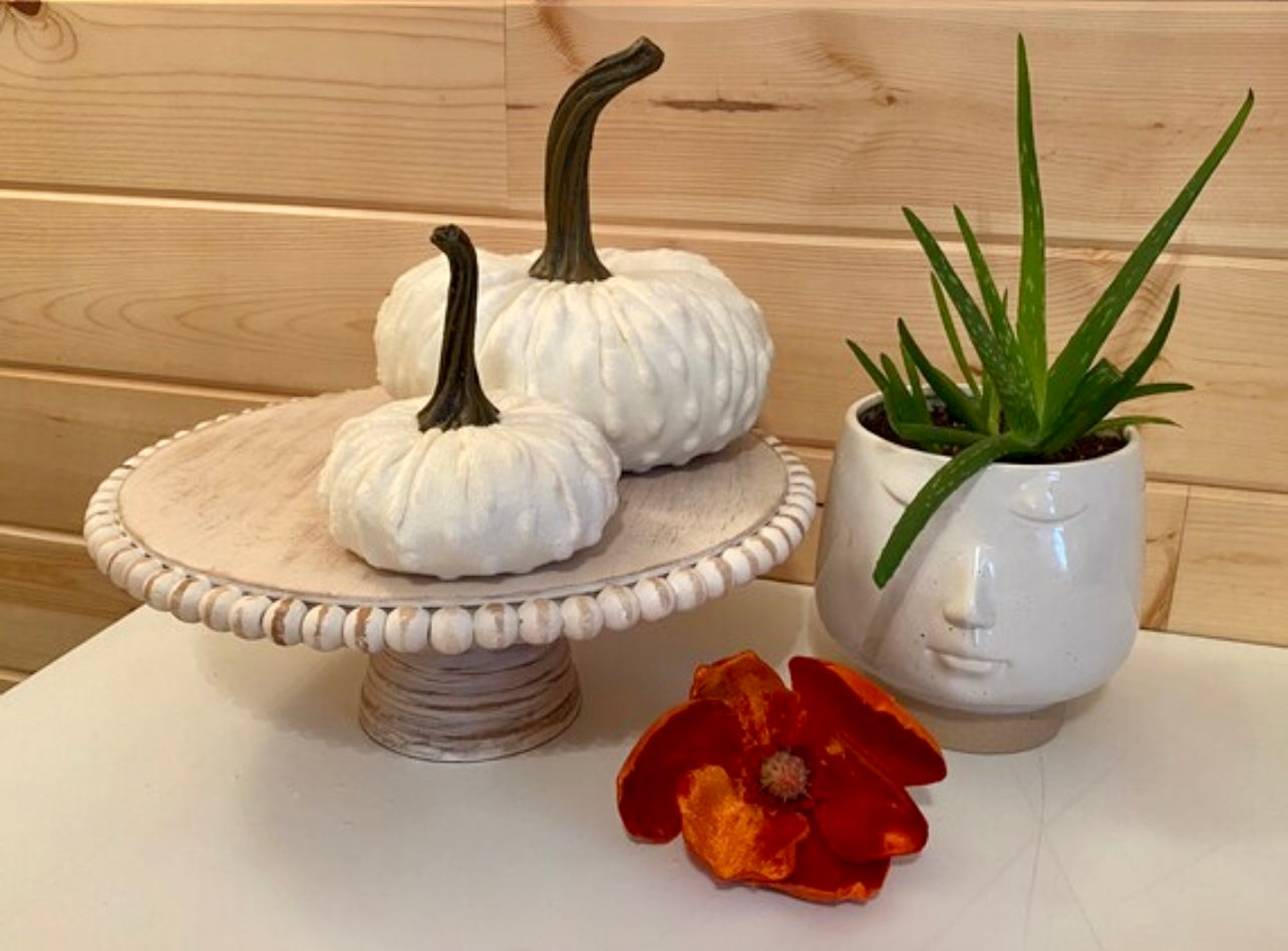 PUMPKIN SET of 3 NUBBY MINK VELVET - CREAM