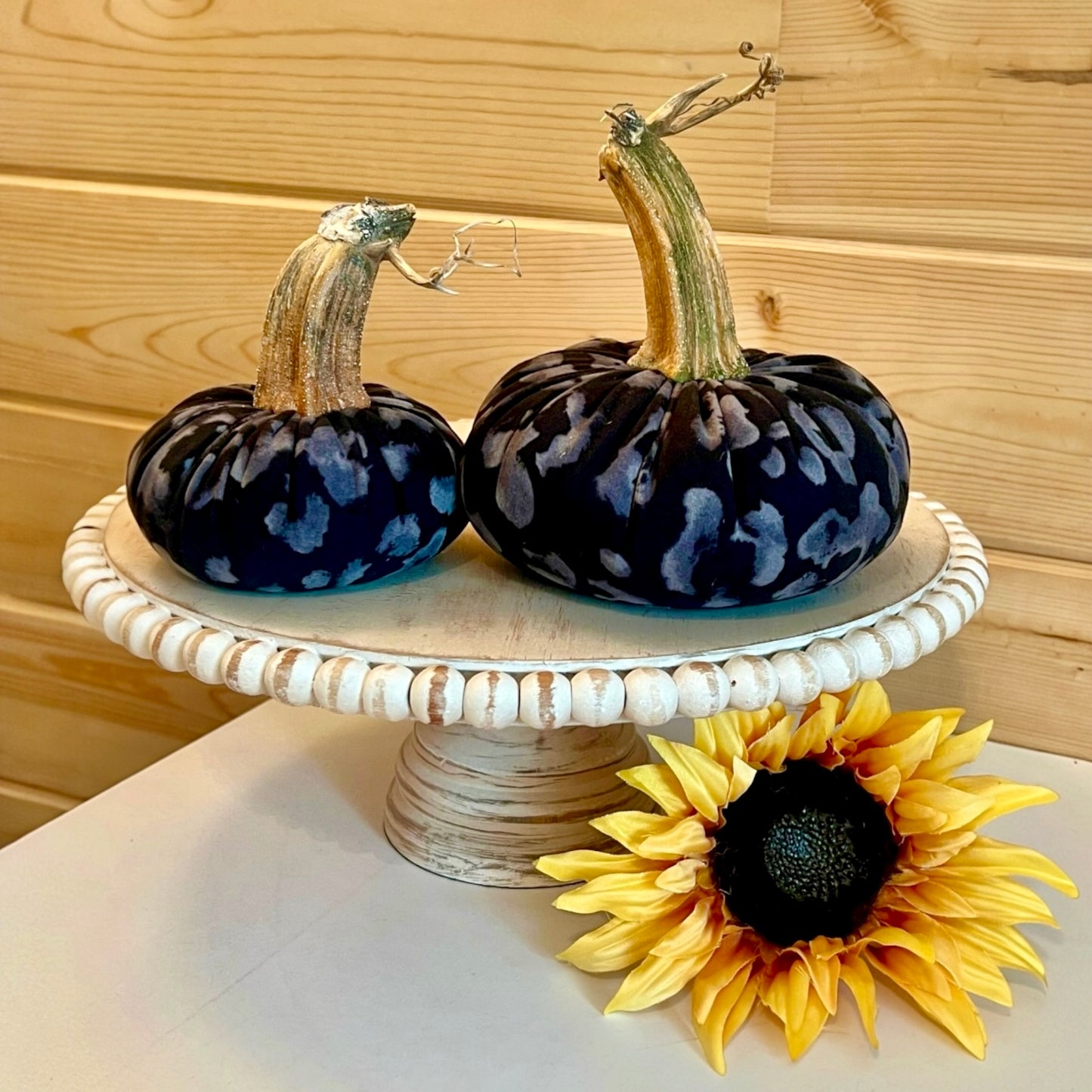 SMALL PUMPKIN ANIMAL PRINT - LEOPARD NOIR