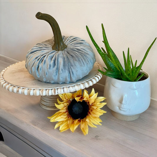 EXTRA LARGE NUBBY MINK VELVET PUMPKIN - SMOKEY GREY