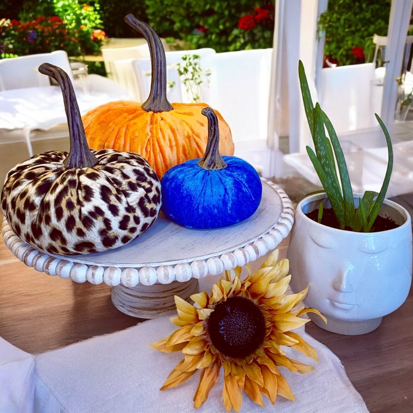 VELVER PUMPKIN SET OF 3 - BLUE CRUSH