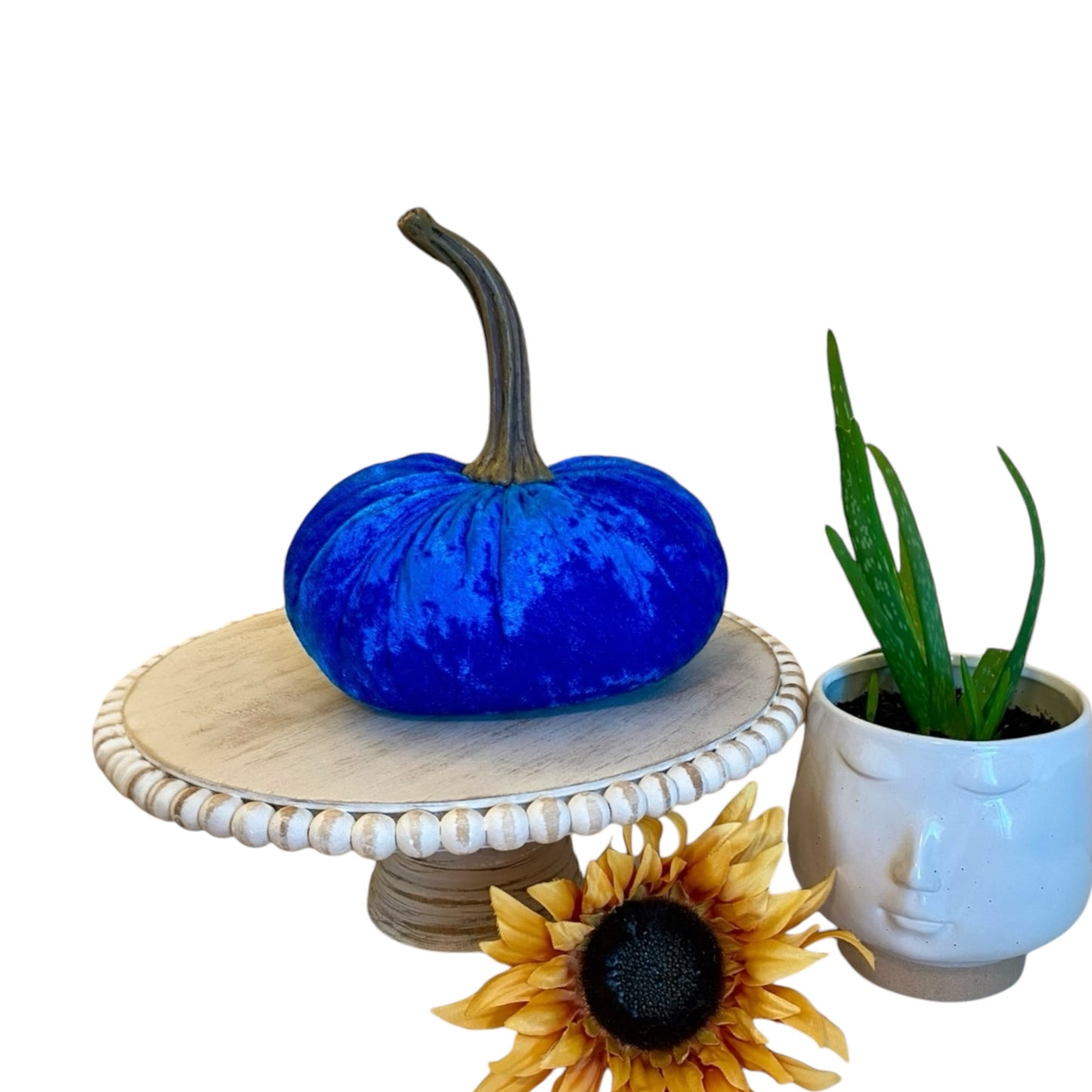 VELVER PUMPKIN SET OF 3 - BLUE CRUSH