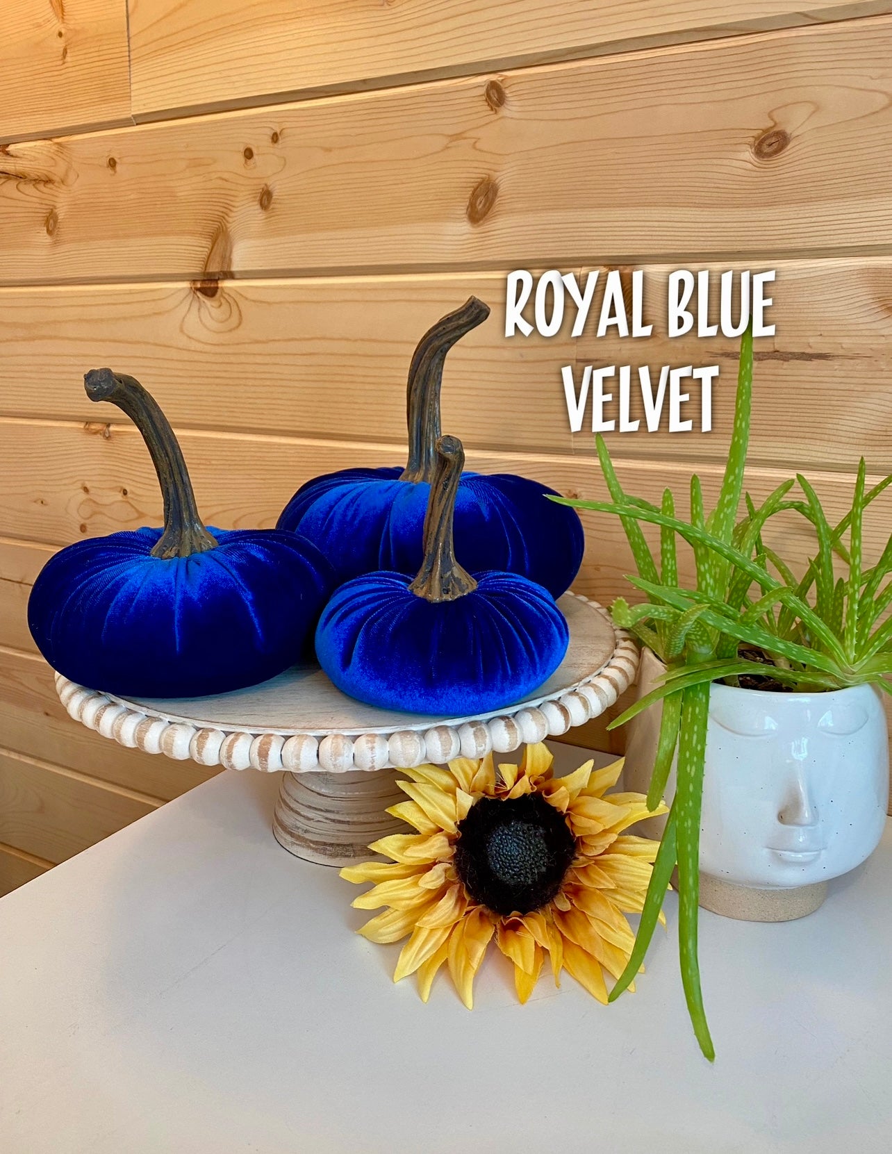 LARGE VELVET PUMPKIN - ROYAL BLUE