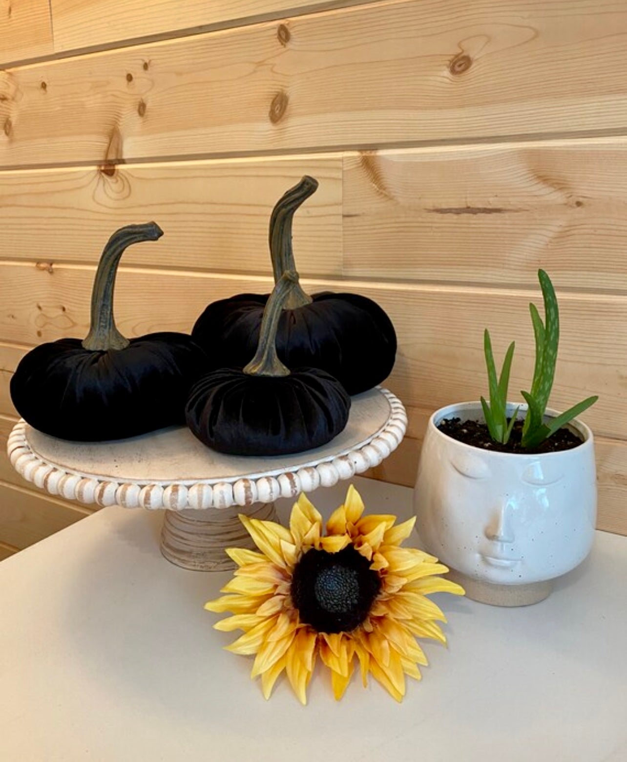 PUMPKIN SET of 3 VELVET - BLACK