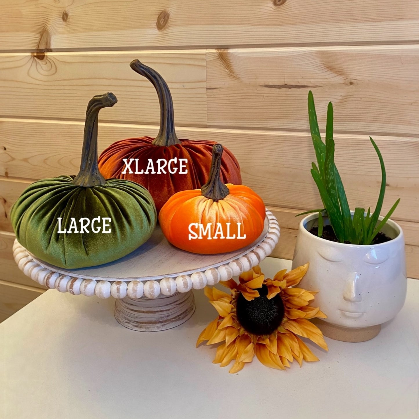 WHOLESALE SMALL PUMPKIN MINIMUM ORDER 24 TOTAL PUMPKINS