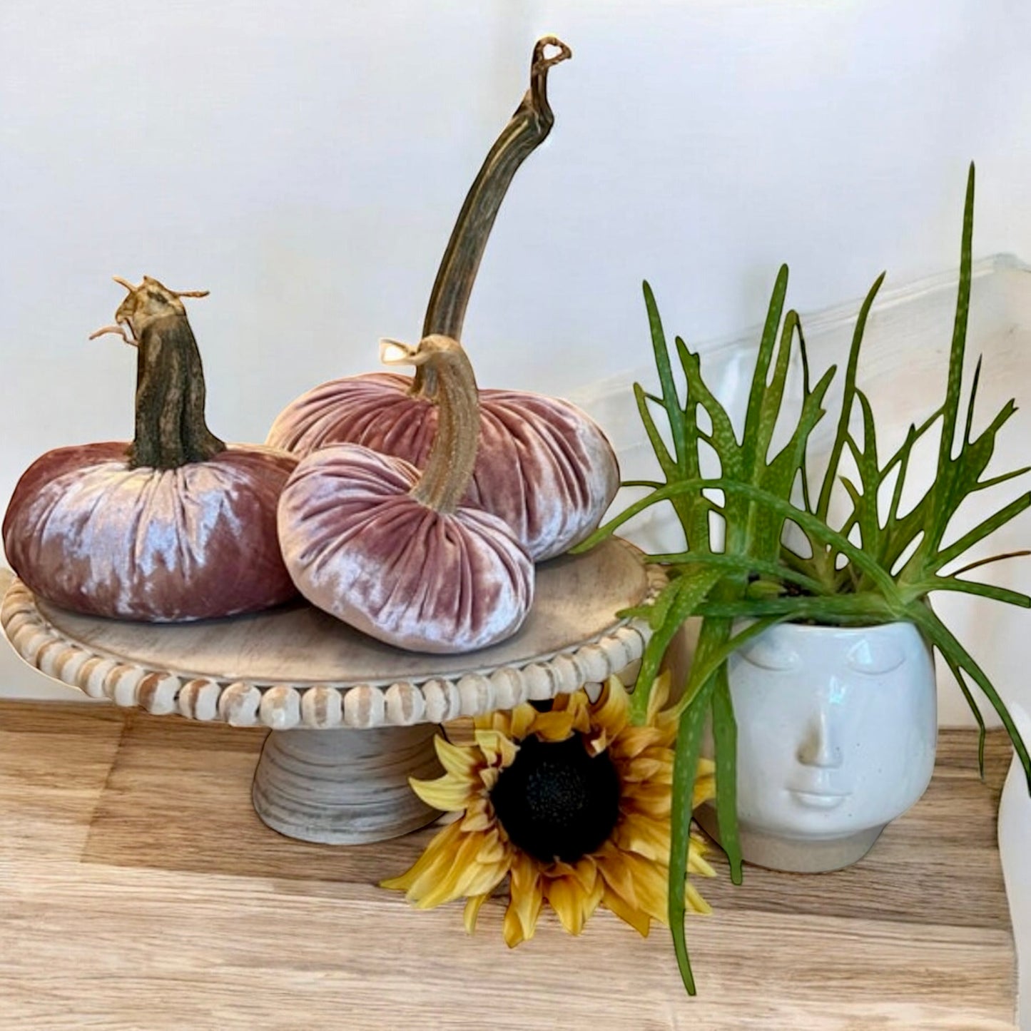 EXTRA LARGE VELVET PUMPKIN - PINK CHAMPAGNE