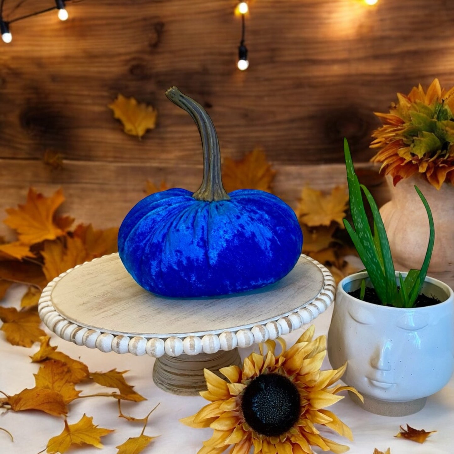 VELVET PUMPKIN EXTRA LARGE - BLUE CRUSH