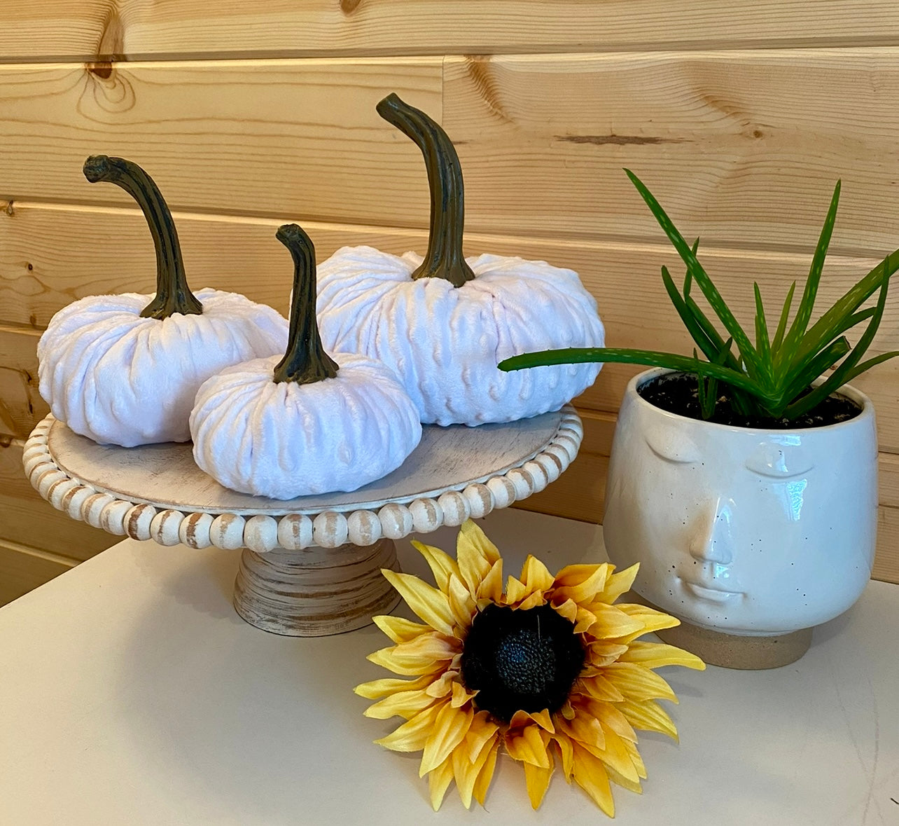 PUMPKIN SET OF 3 NUBBY MINK VELVET - WHITE