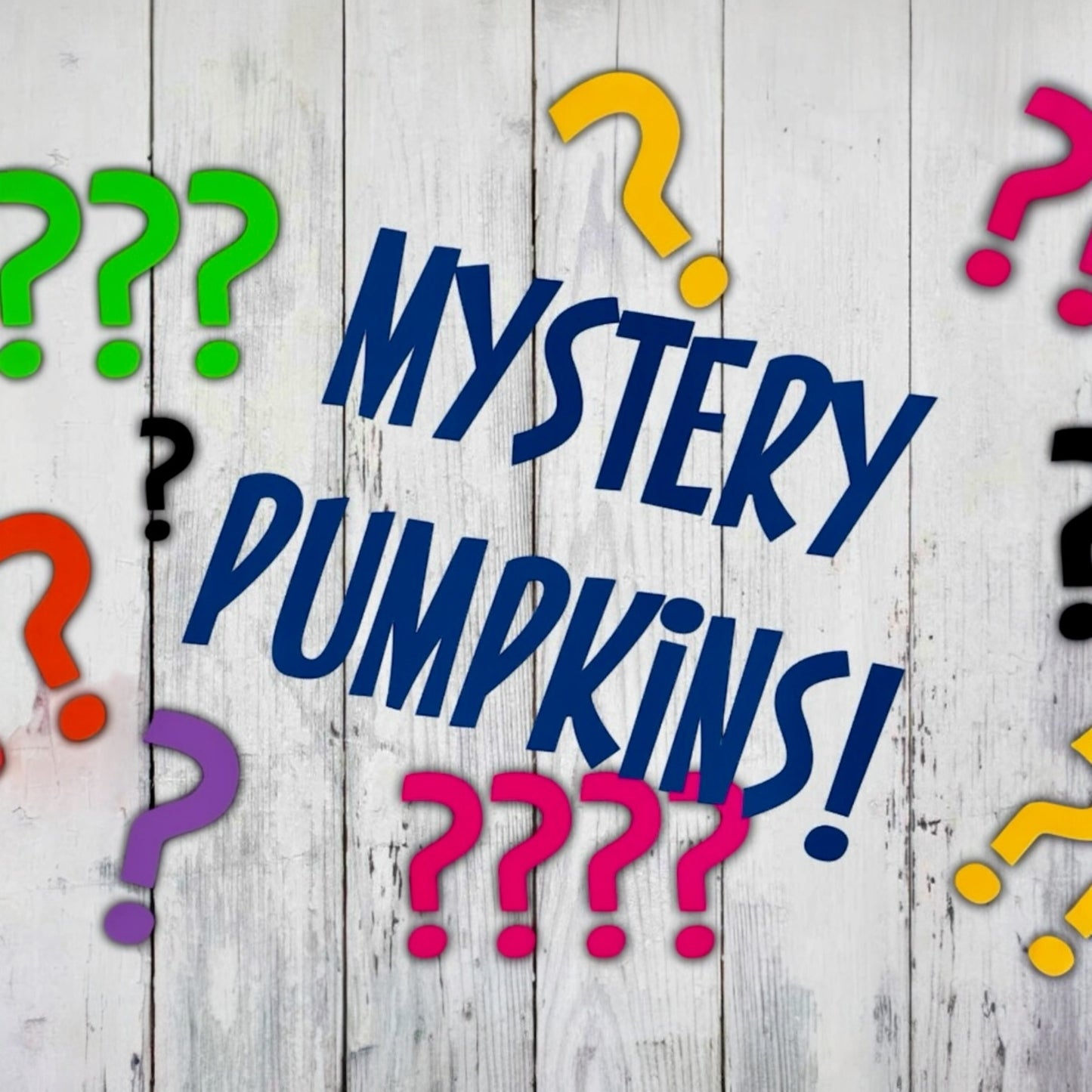 LARGE MYSTERY PUMPKINS