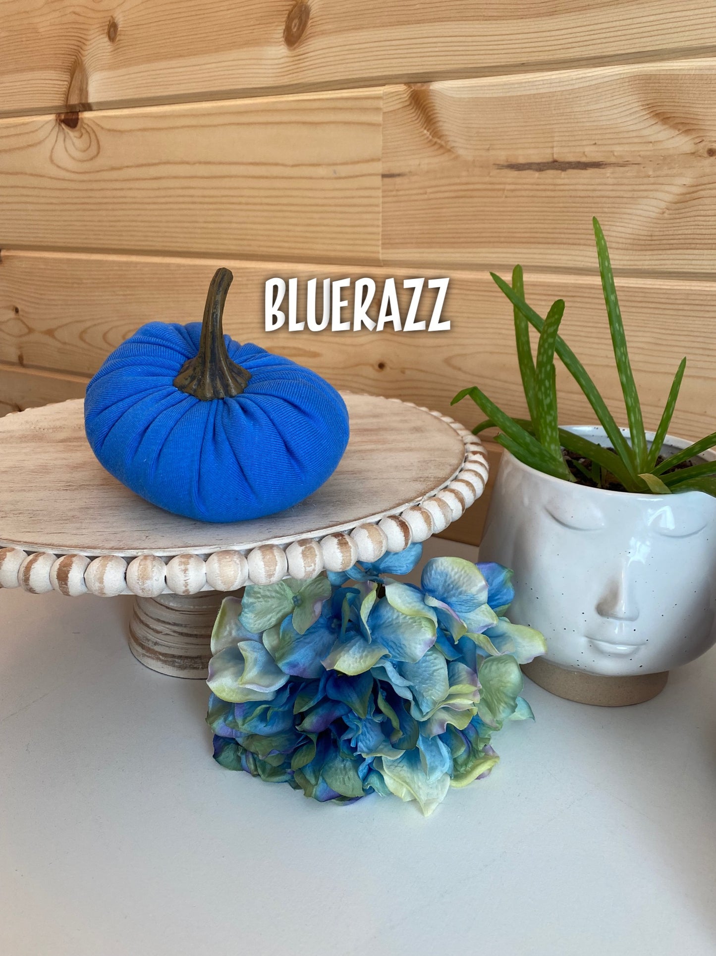 SMALL FABRIC PUMPKINS - POPSICLE FLAVOR COLORS