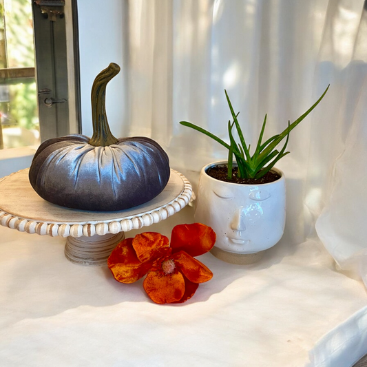 EXTRA LARGE VELVET PUMPKIN - SILVER