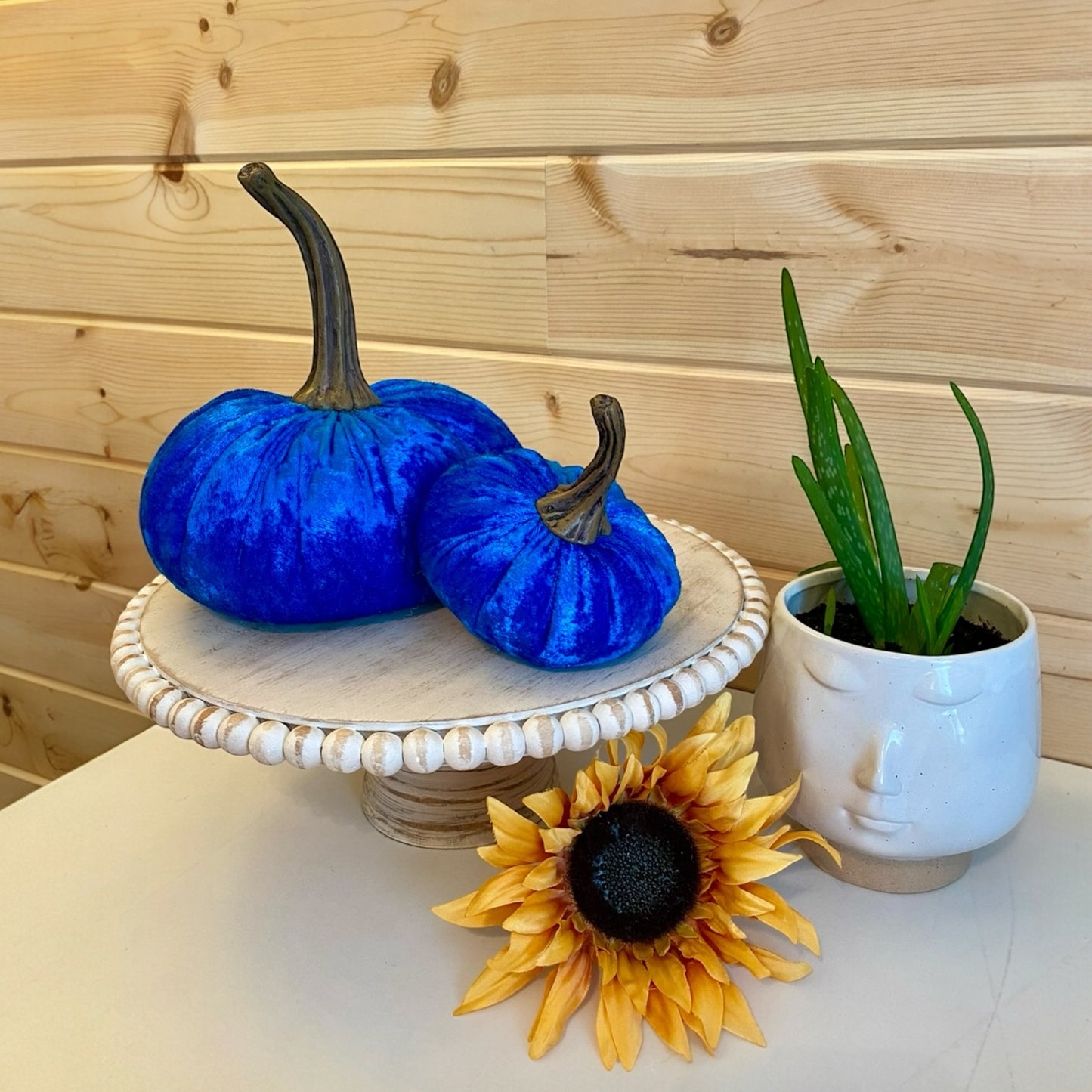 VELVER PUMPKIN SET OF 3 - BLUE CRUSH