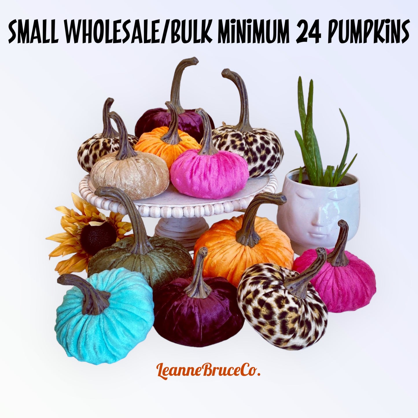 WHOLESALE SMALL PUMPKIN MINIMUM ORDER 24 TOTAL PUMPKINS