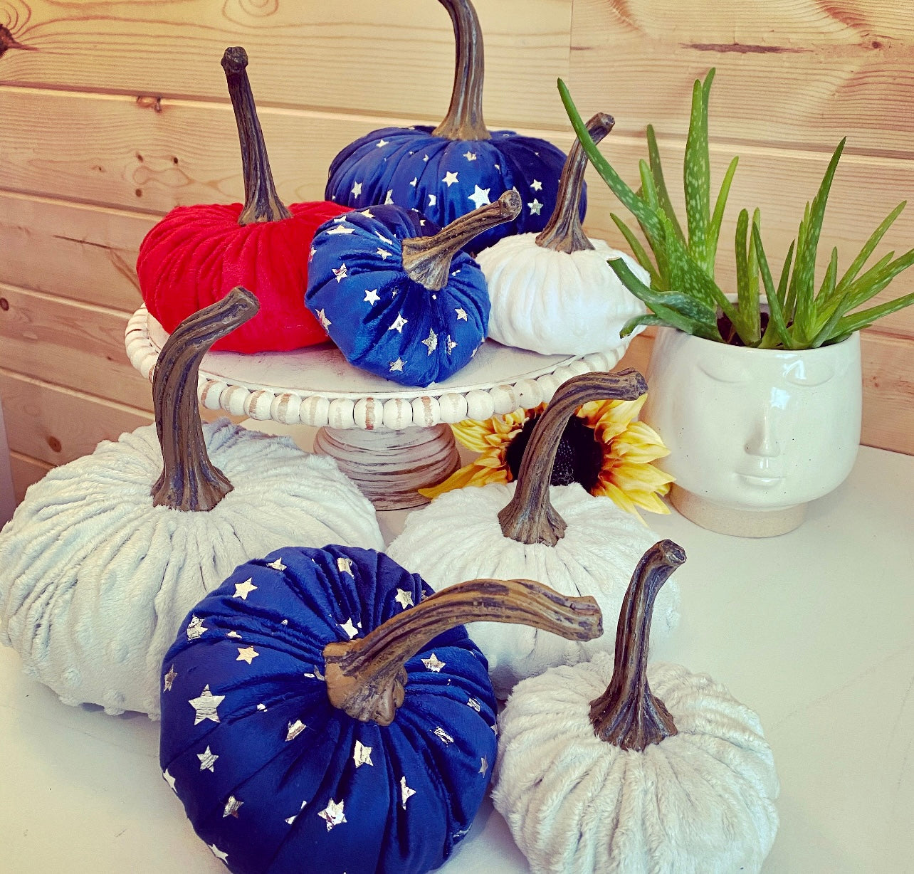 PUMPKIN NAUTICAL SET of 4 - PATRIOTIC SUMMER HOLIDAY TEAM USA