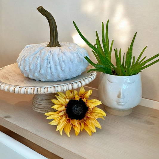 EXTRA LARGE NUBBY MINK VELVET PUMPKIN - SILVER (LIGHT GREY)