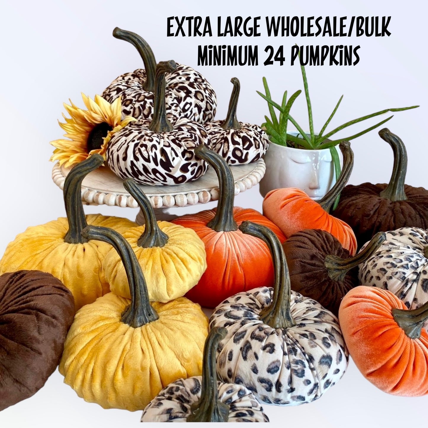 WHOLESALE EXTRA LARGE PUMPKIN MINIMUM ORDER 24 TOTAL PUMPKINS