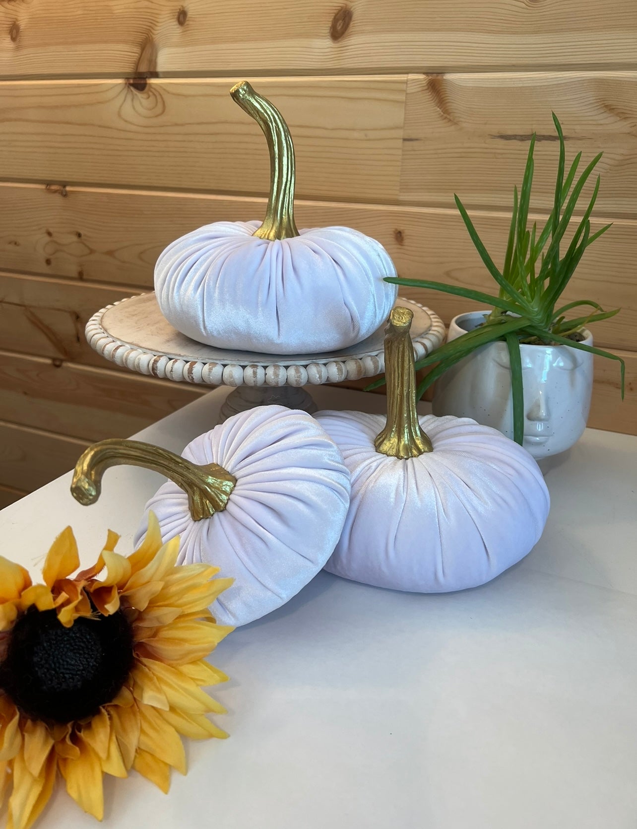 PUMPKINS SET of 3 VELVET - WHITE