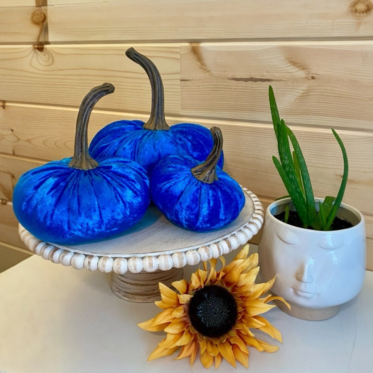 VELVER PUMPKIN SET OF 3 - BLUE CRUSH