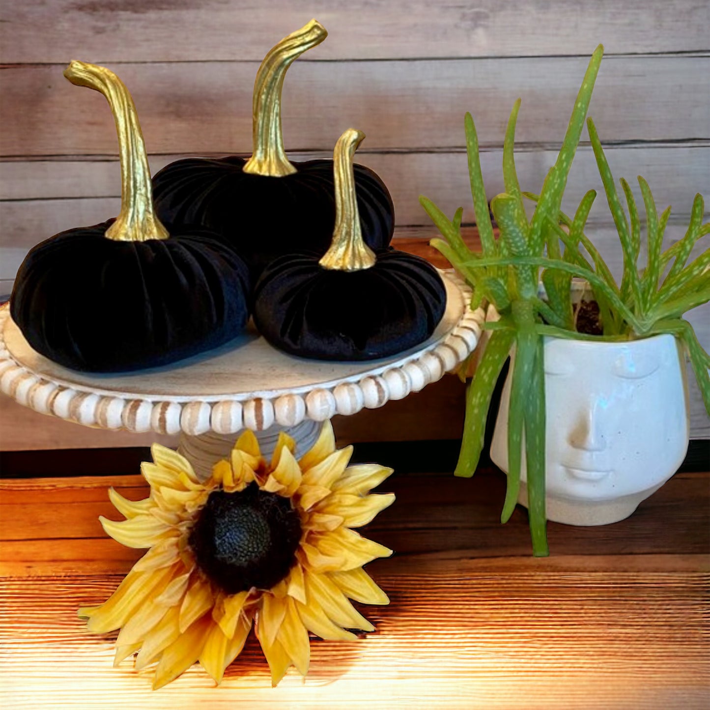 PUMPKIN SET of 3 VELVET - BLACK