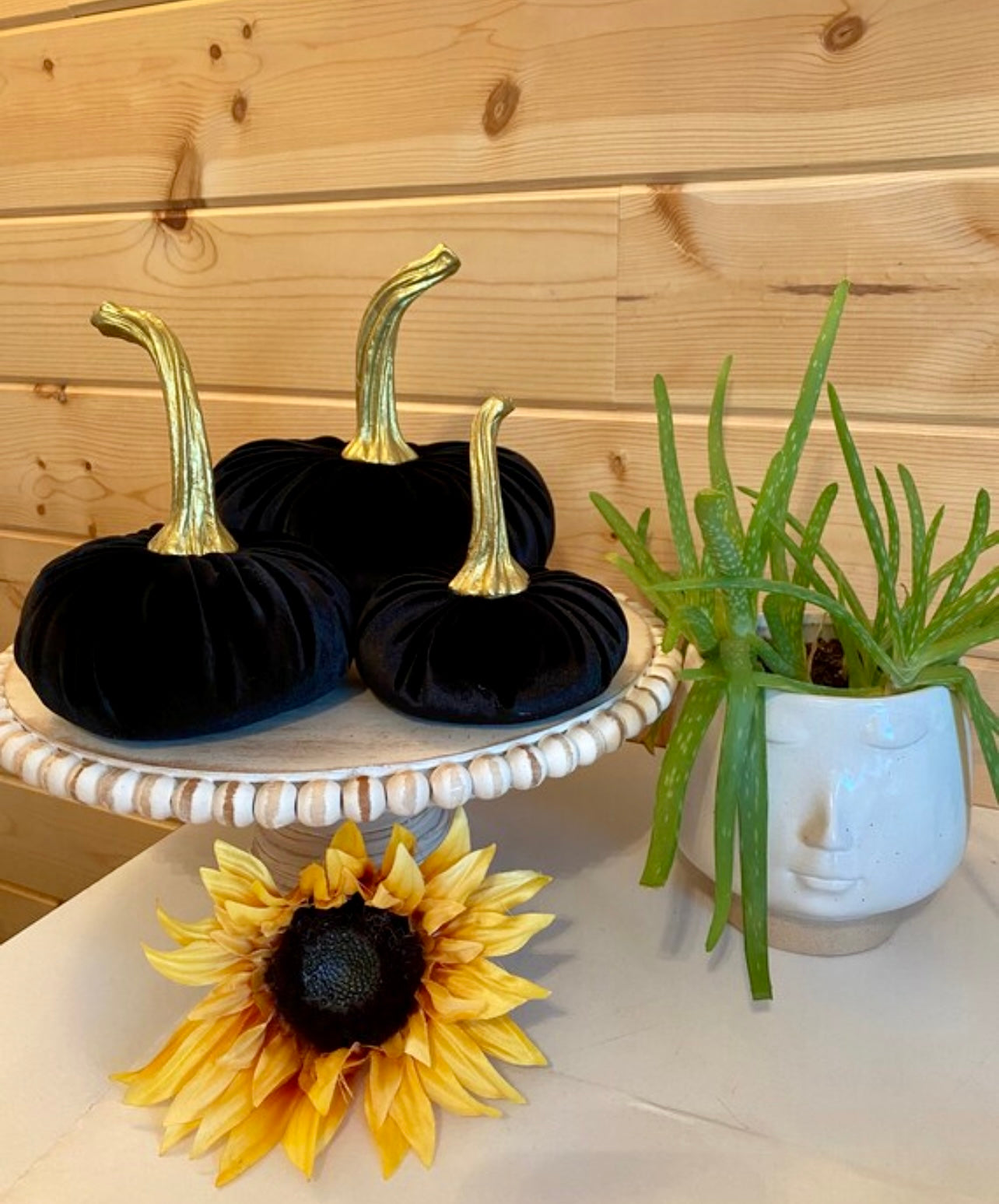 SMALL PUMPKIN VELVET - BLACK