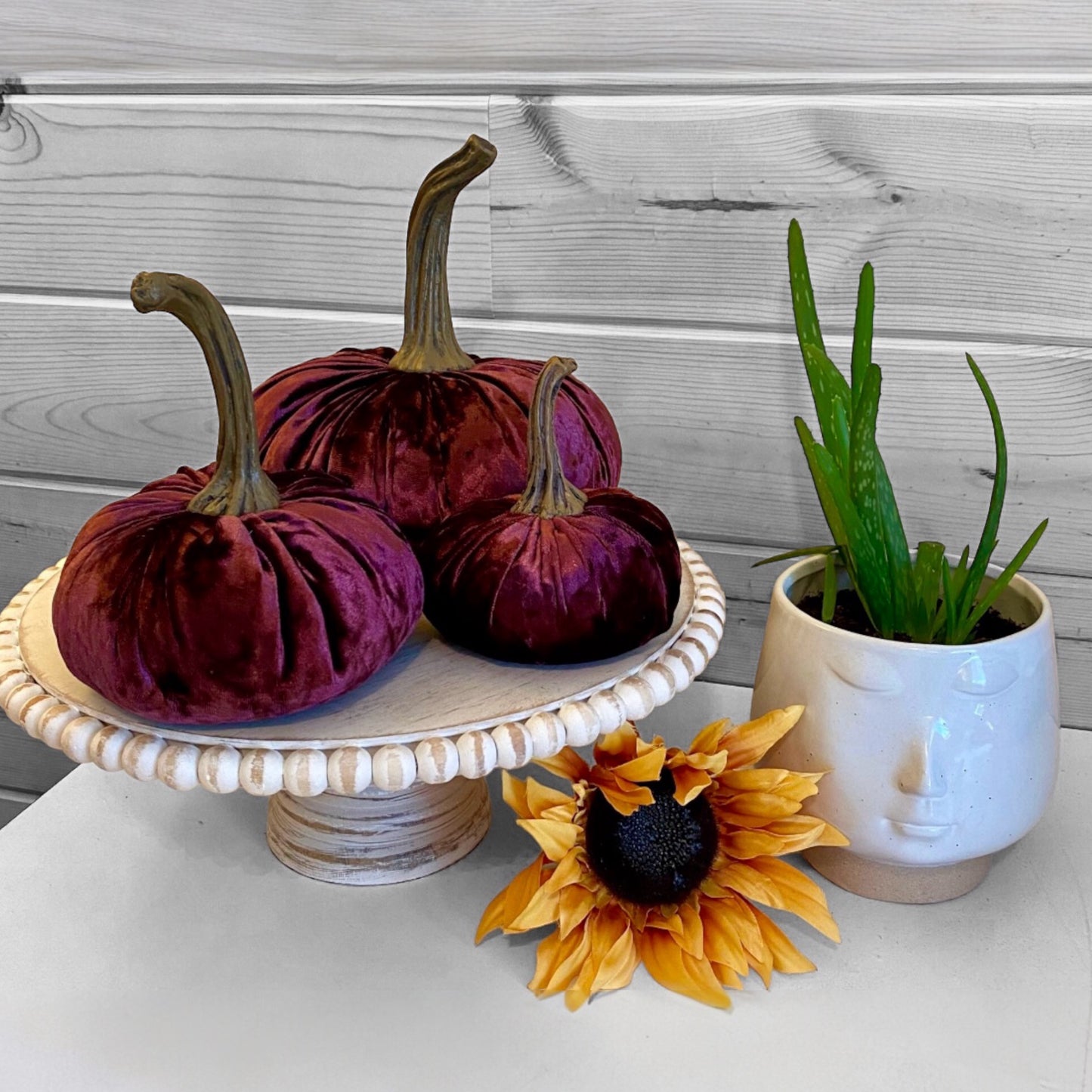 VELVET PUMPKIN SET of 3 - WINE