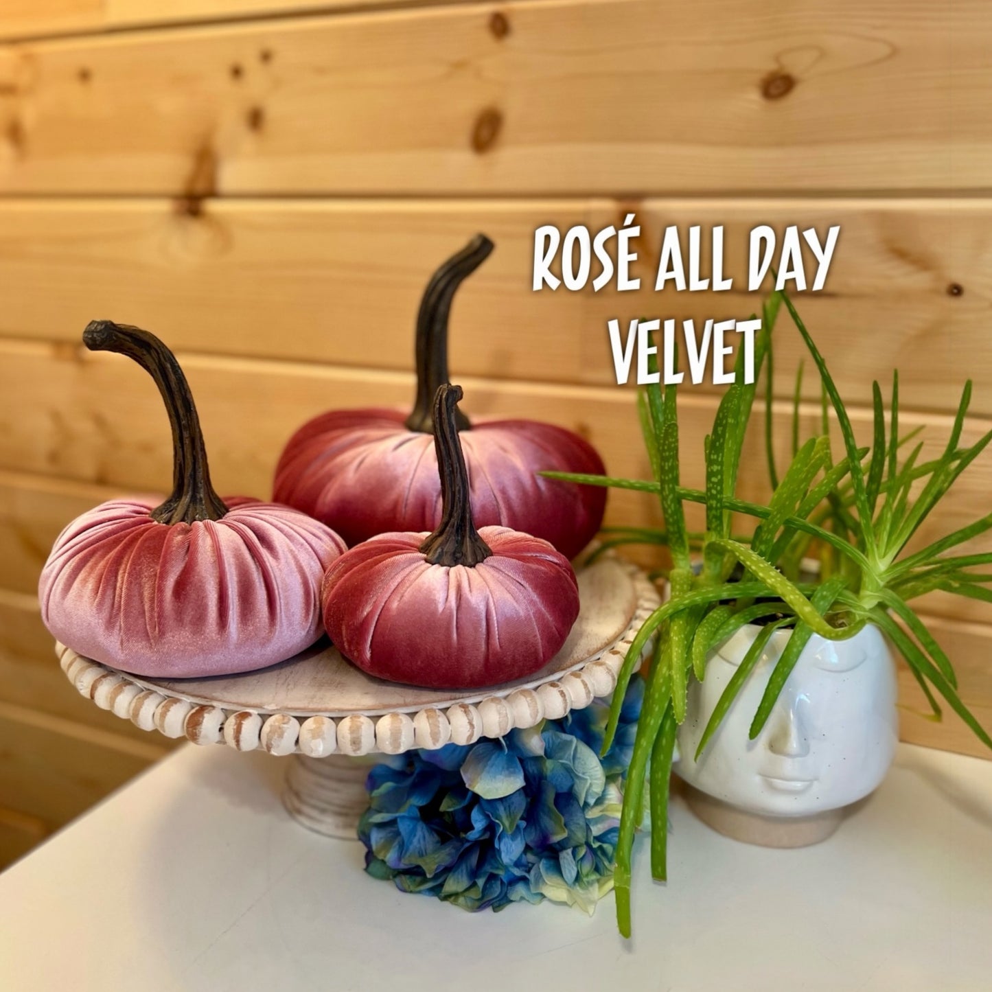 LARGE VELVET PUMPKIN - ROSÉ ALL DAY