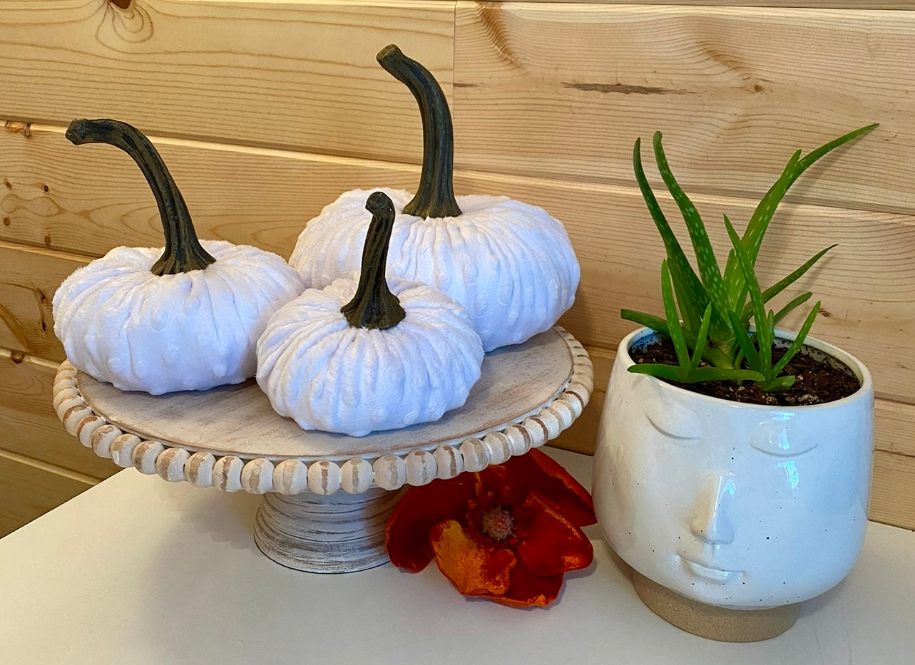 PUMPKIN SET OF 3 NUBBY MINK VELVET - WHITE