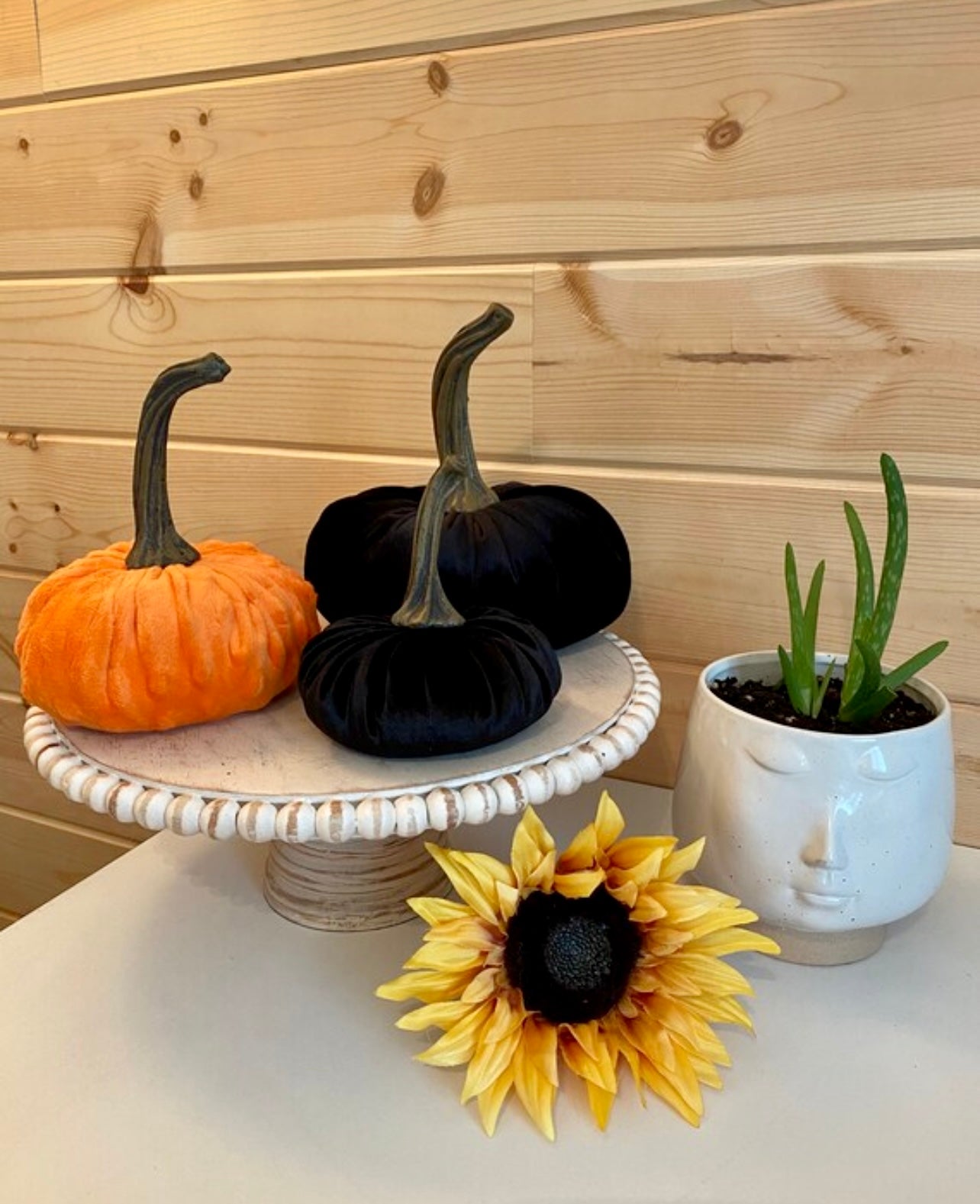 SMALL PUMPKIN VELVET - BLACK