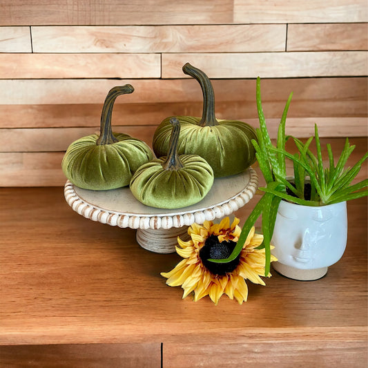 Velvet Pumpkin Set of 3 AVOCADO VELVET Rustic Holiday Home Decor Chic Gift Set