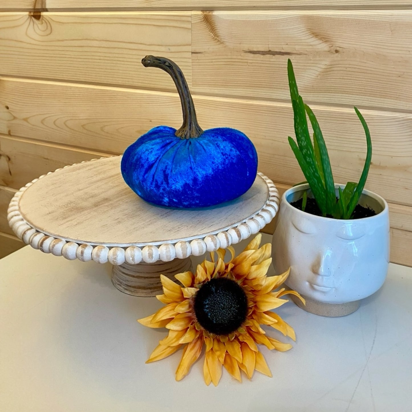 VELVER PUMPKIN SET OF 3 - BLUE CRUSH