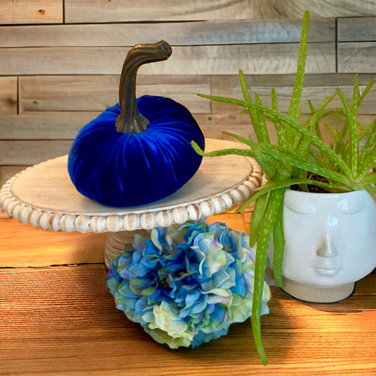 LARGE VELVET PUMPKIN - ROYAL BLUE