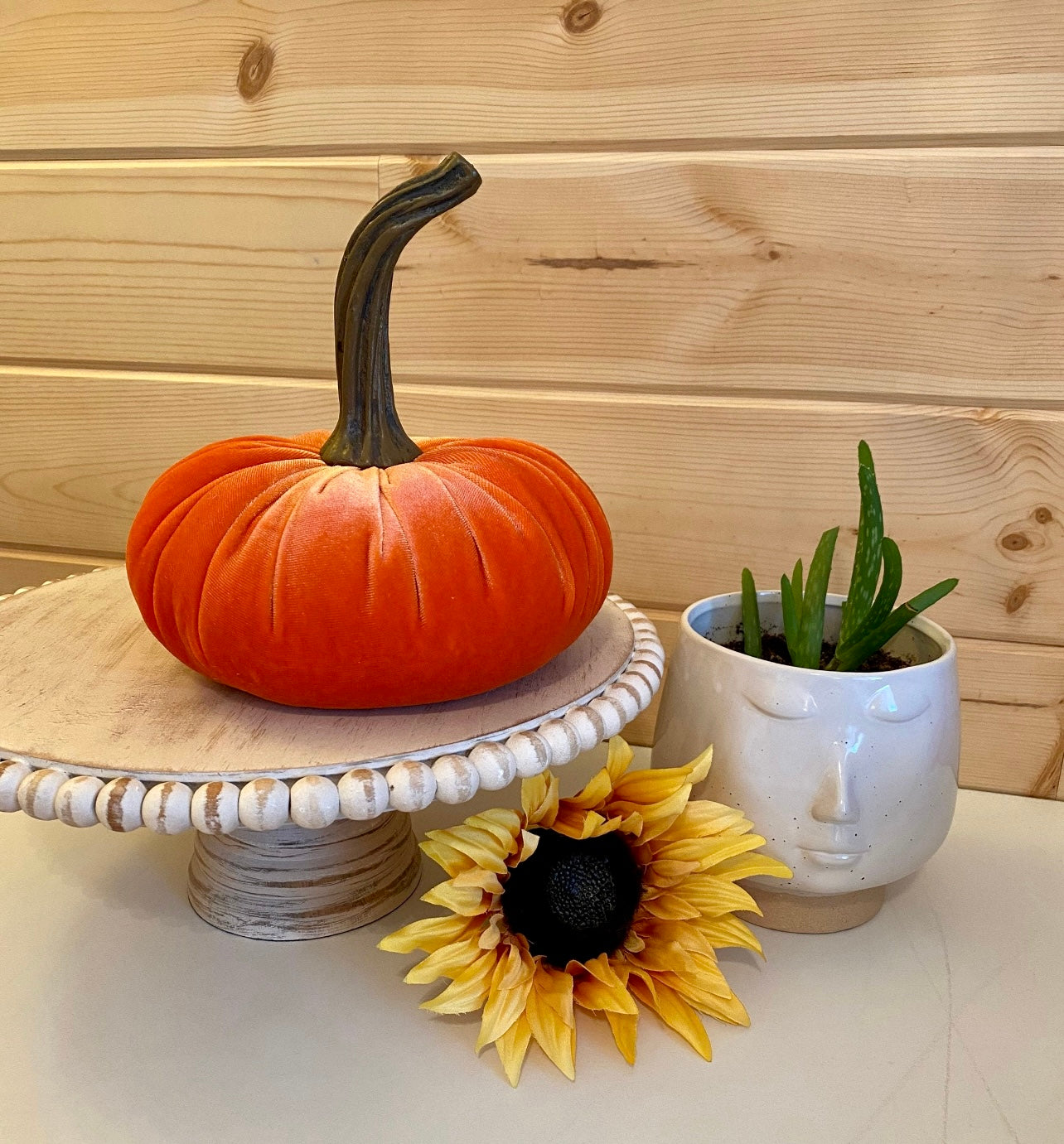 PUMPKIN SET of 3 VELVET - PUMPKIN SPICE