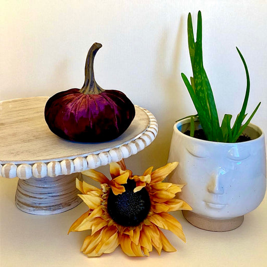 SMALL VELVET PUMPKIN - WINE