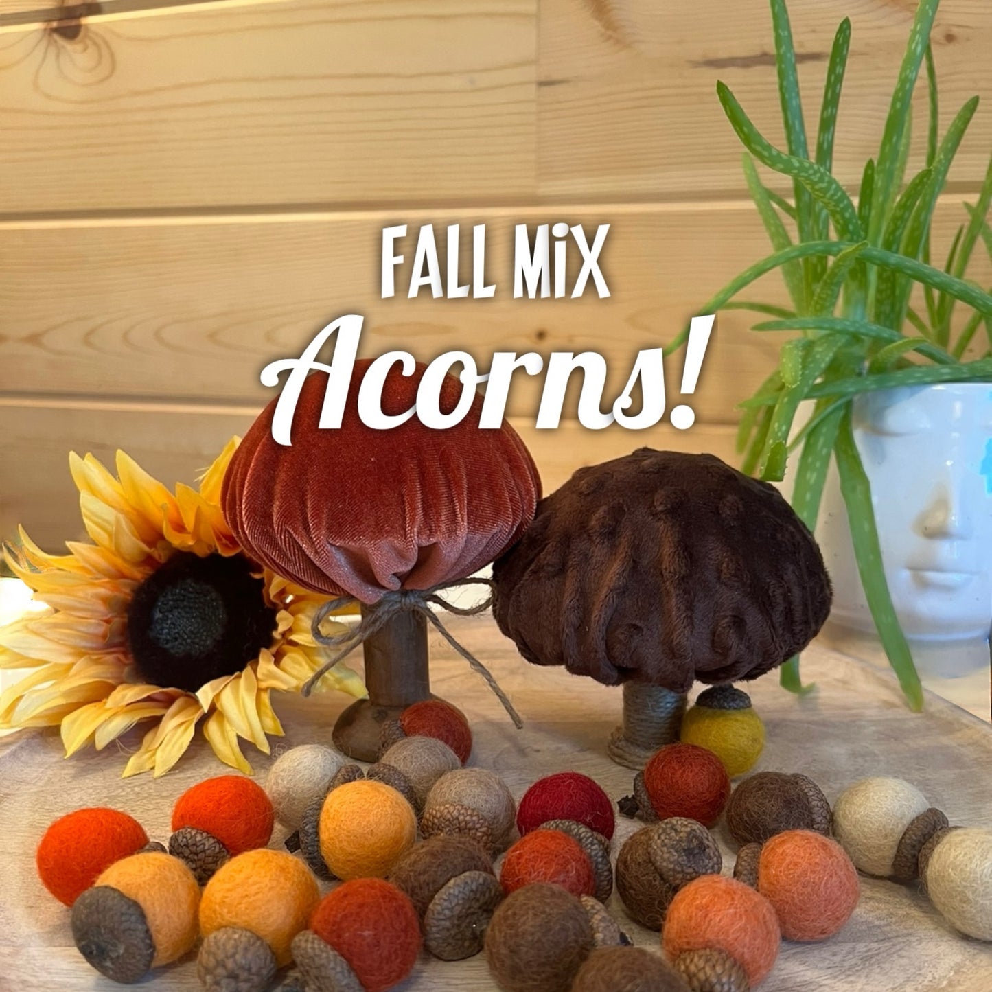 ACORNS WOOL FELT - FALL MIX - SET of 13