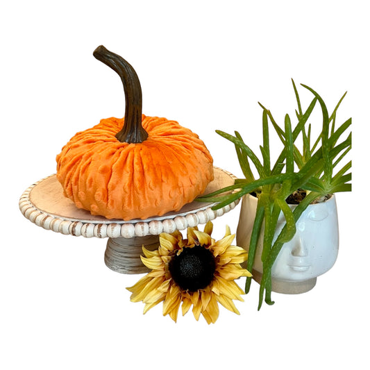 EXTRA LARGE NUBBY MINK VELVET PUMPKIN - ORANGE
