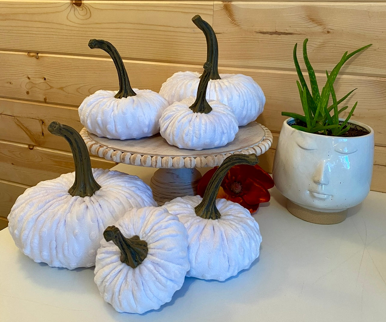 PUMPKIN SET OF 3 NUBBY MINK VELVET - WHITE