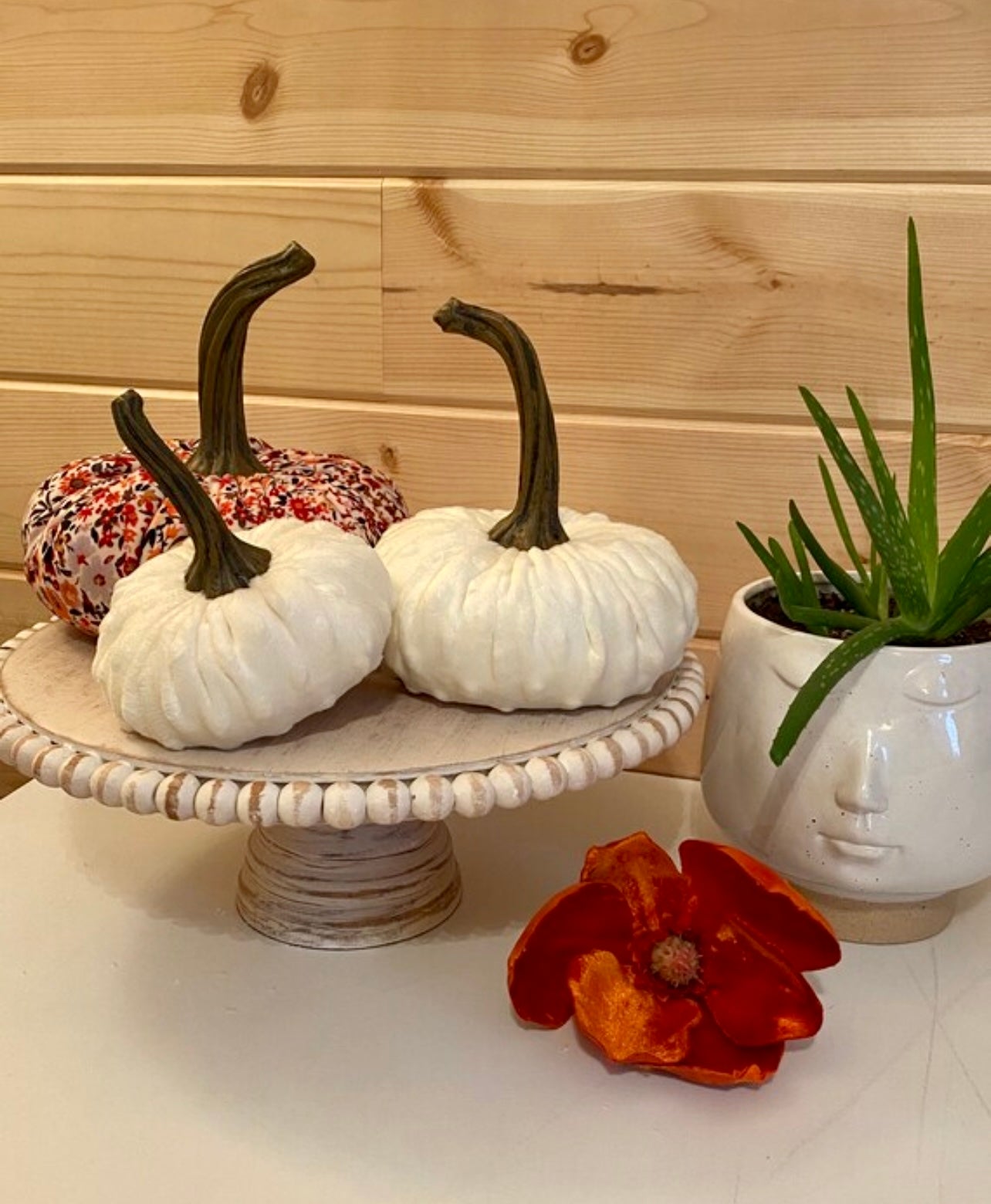 PUMPKIN SET of 3 NUBBY MINK VELVET - CREAM