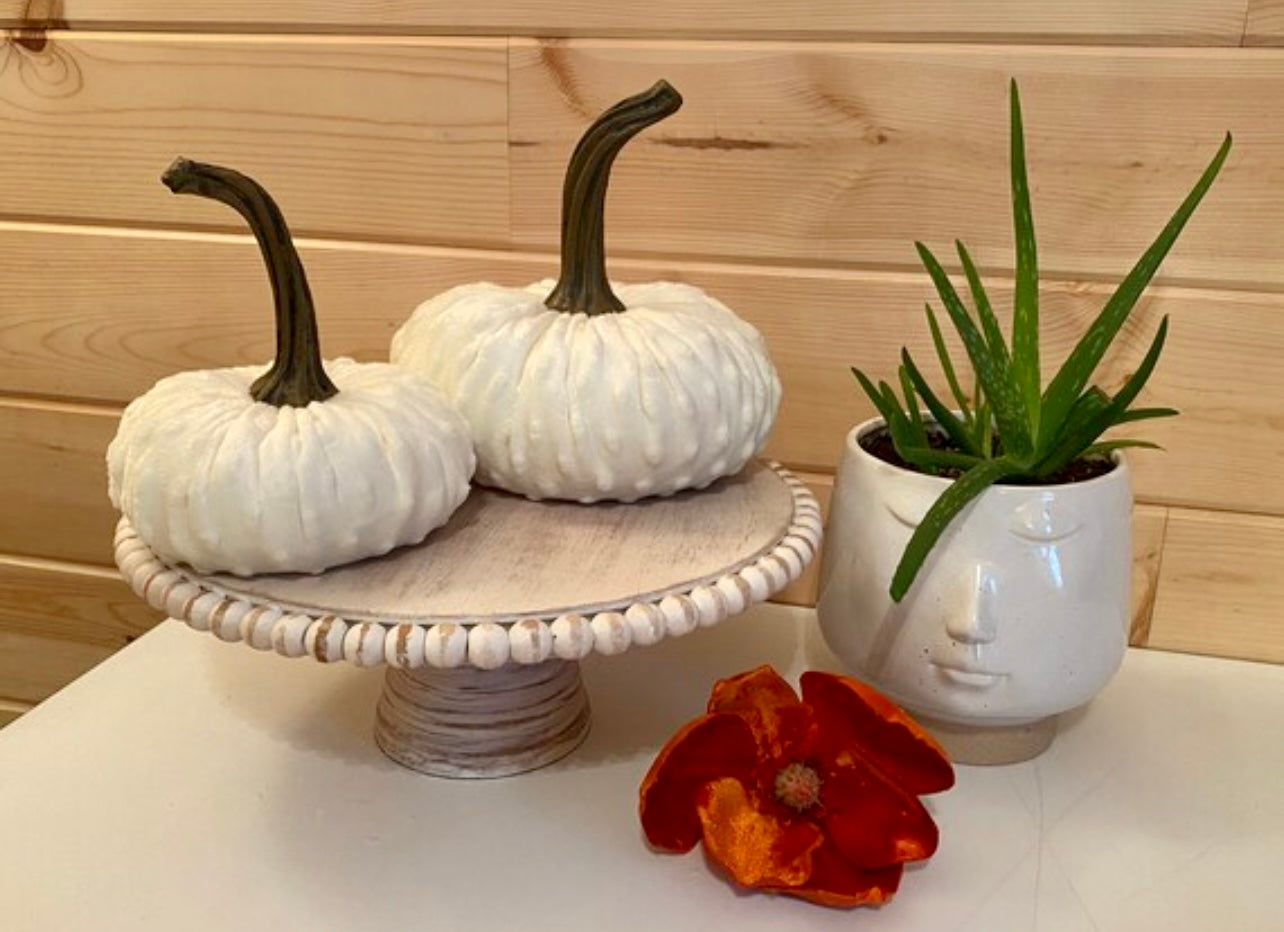 PUMPKIN SET of 3 NUBBY MINK VELVET - CREAM