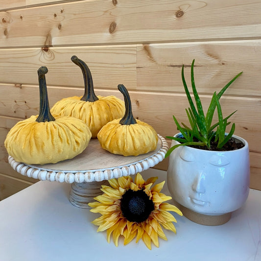 PUMPKIN SET of 3 NUBBY MINK VELVET - SUNFLOWER YELLOW