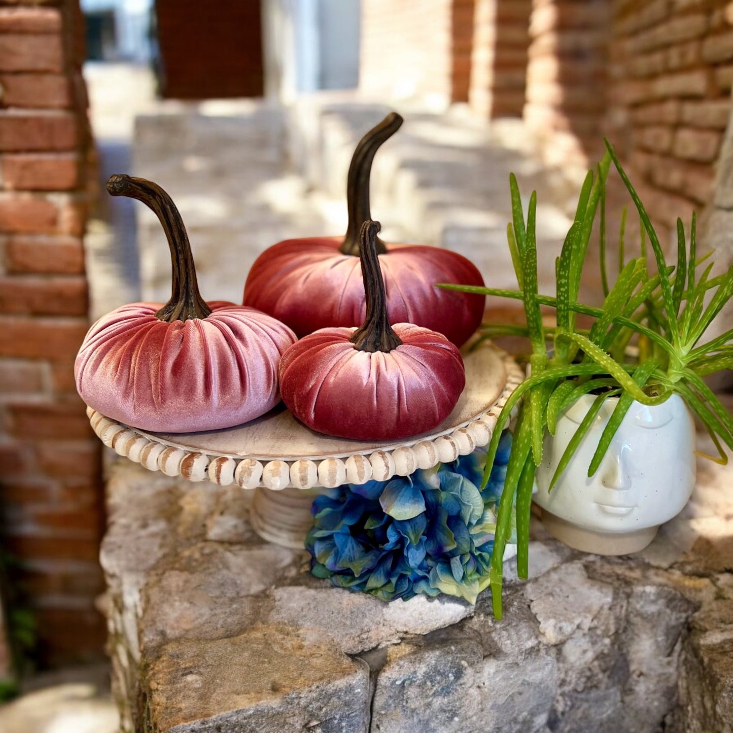 LARGE VELVET PUMPKIN - ROSÉ ALL DAY