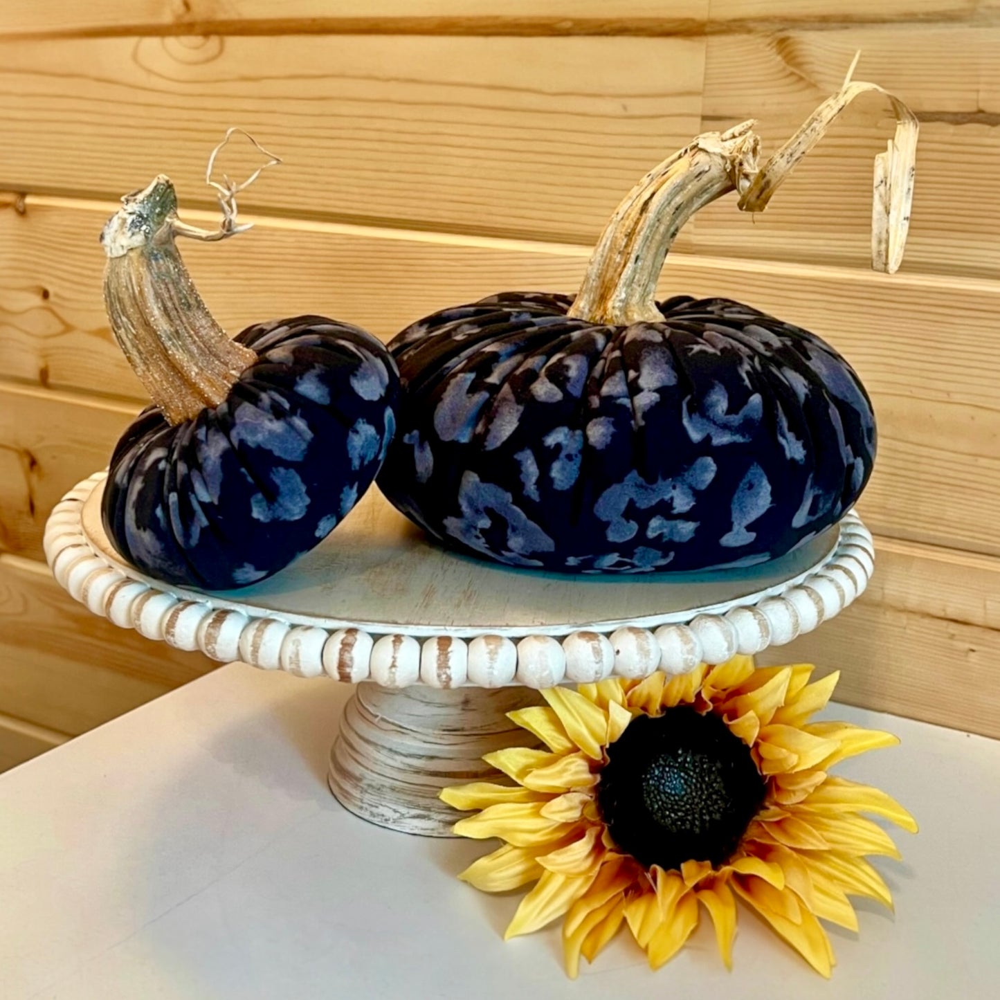 SMALL PUMPKIN ANIMAL PRINT - LEOPARD NOIR