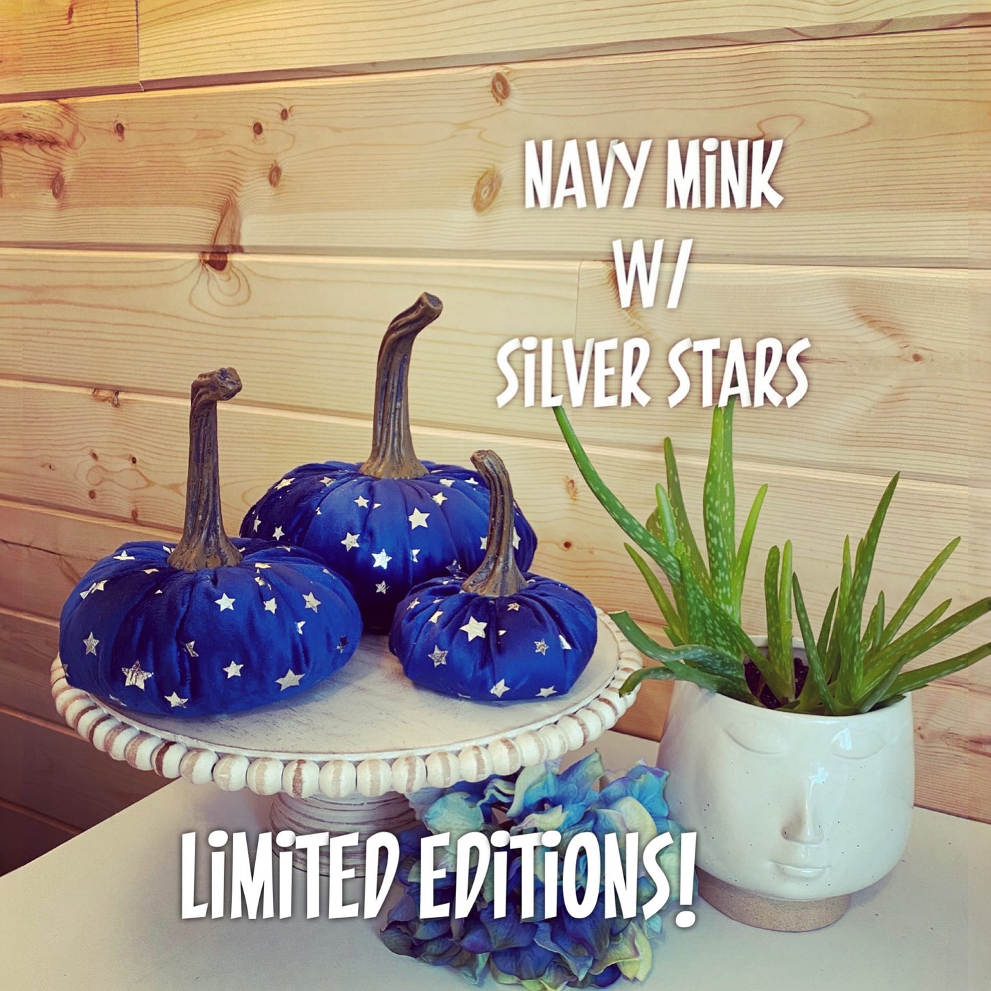 LARGE MINK VELVET PUMPKIN - NAVY BLUE with SILVER FOIL STARS