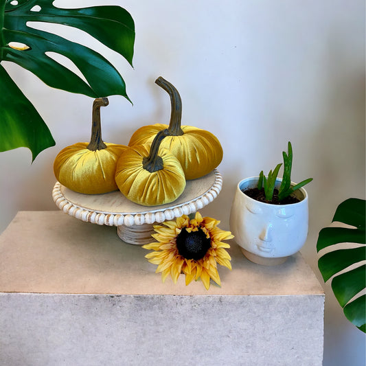 PUMPKIN SET of 3 VELVET - GOLD